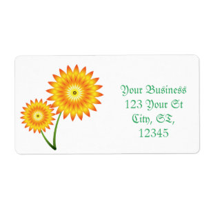 Deux Plantes de tournesol Thunder_Cove