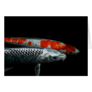 Deux poissons