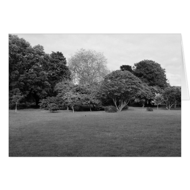 Deux pour la joie (Devant horizontal)