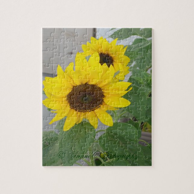Deux puzzle de tournesol (Vertical)