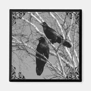Deux ravens aimant gothique