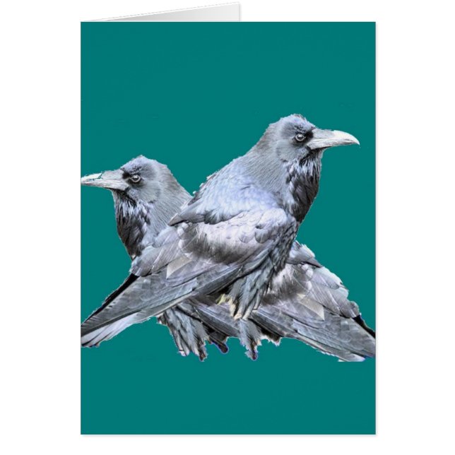 Deux Ravens Cadeaux turquoises (Devant)