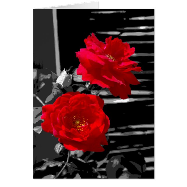 DEUX ROSES ROUGES (Devant)