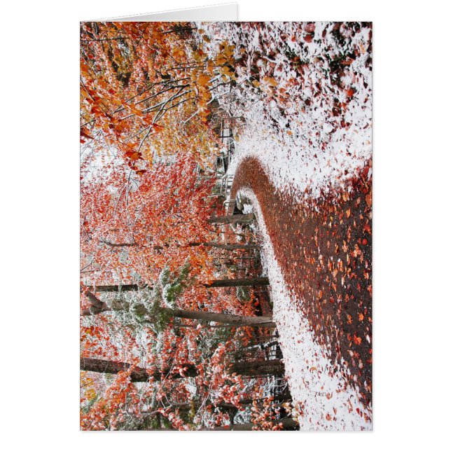 Deux saisons (Devant)