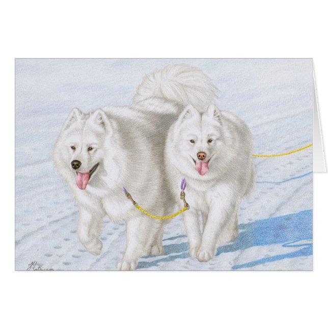 Deux Samoyeds emballant par la neige (Devant horizontal)