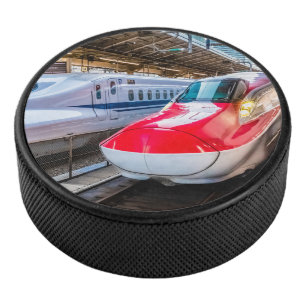 Deux Shinkansen à la gare de Tokyo