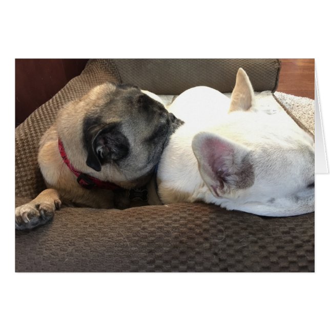 Deux sont meilleurs qu'un. (Devant horizontal)