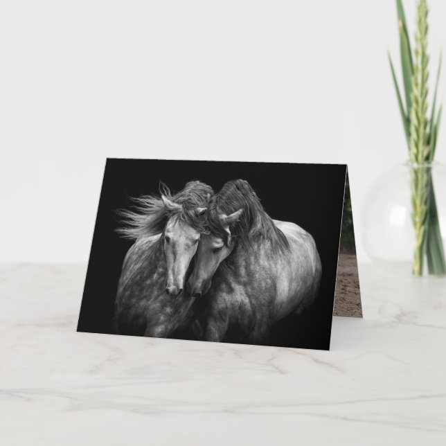 Deux Stallions andalous - Carte de voeux pour chev (Devant)