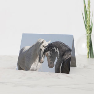 Deux Stallions Sauvages - Carte de voeux pour Chev