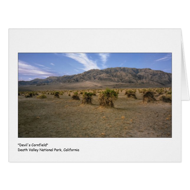 "Devils Cornfield" (Front Horizontal)