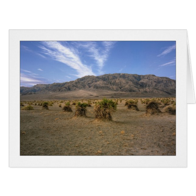 "Devils Cornfield" (Devant horizontal)