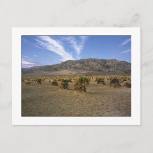 "Devils Cornfield" Postcard