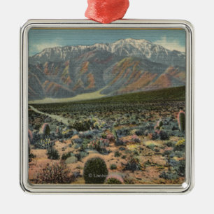 Devil's Garden View of Mt. San Jacinto # 1 Metal Ornament
