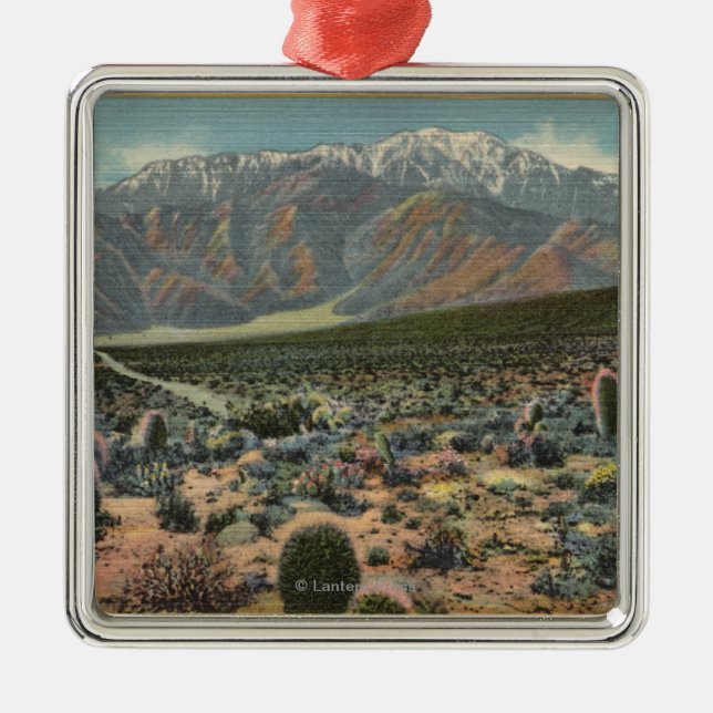 Devil's Garden View of Mt. San Jacinto # 1 Metal Ornament (Front)