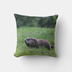 Devil's Hole Digger Throw Pillow