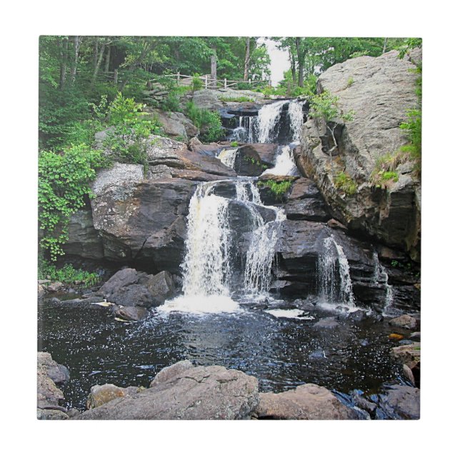 Devil's Hopyard Waterfall Trivet (Front)