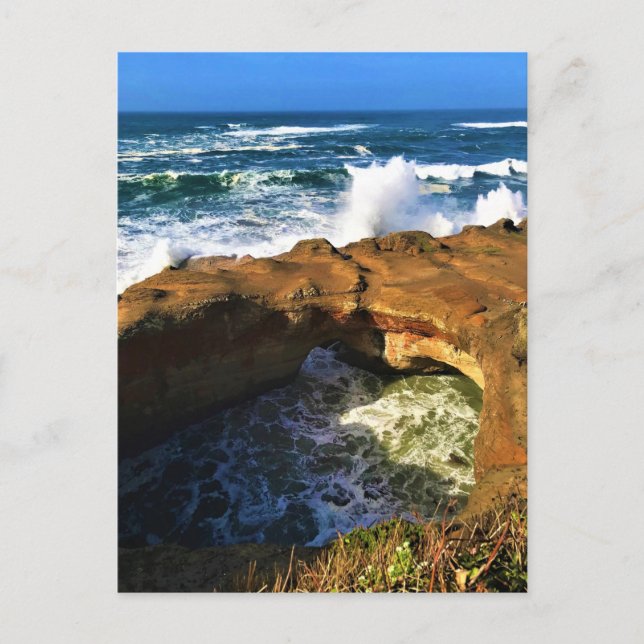 Devil's Punchbowl, Newport, Oregon Postcard (Front)