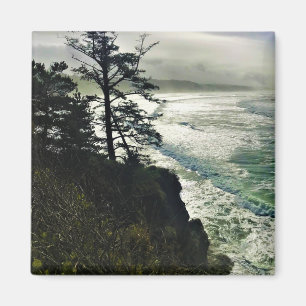 Devil's Punchbowl State Park, Newport, Oregon Magnet