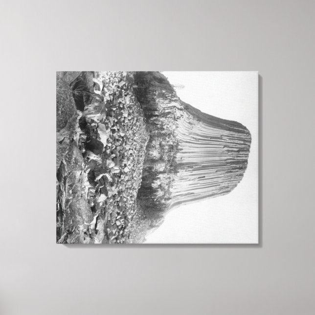 Devil's Tower from the West with Fallen Canvas Print (Front)