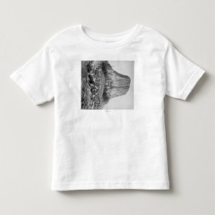 Devil's Tower from the West with Fallen Toddler T-shirt