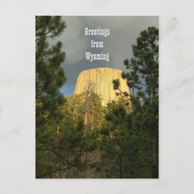 Devils Tower - Greetings from Wyoming Postcard (Front)