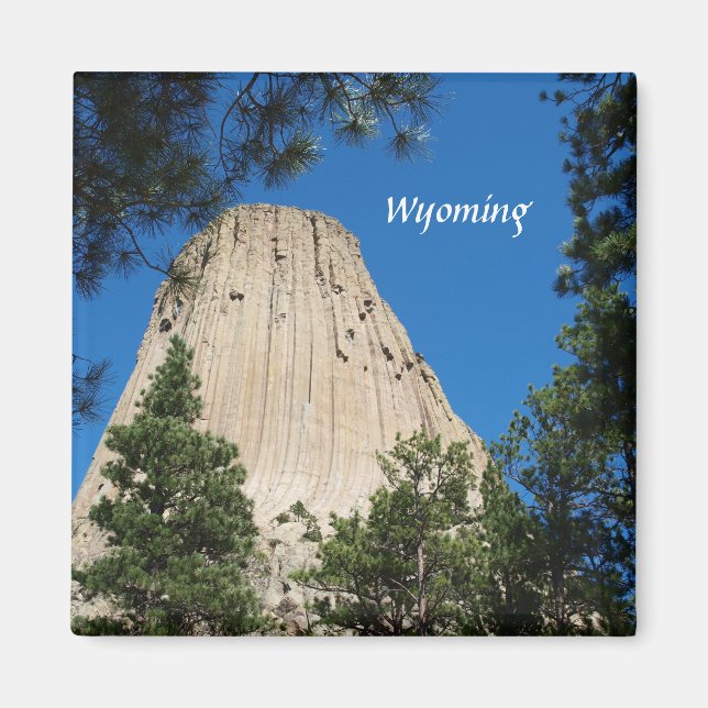Devils Tower Magnet (Front)