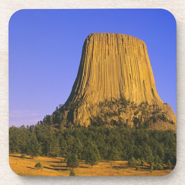 Devils Tower National Monument in Wyoming Coaster (Front)