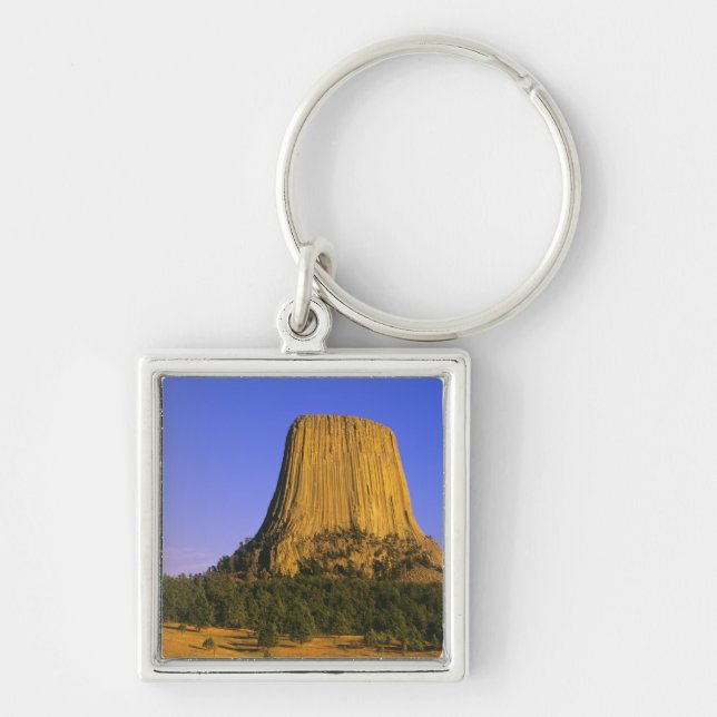 Devils Tower National Monument in Wyoming Keychain (Front)