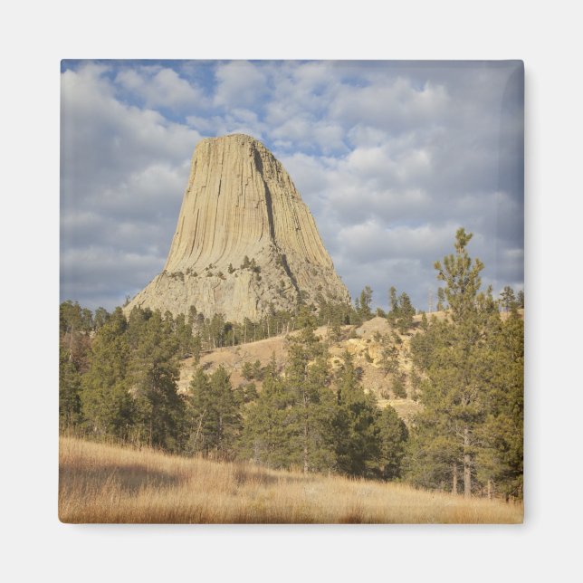 Devils Tower National Monument Magnet (Front)