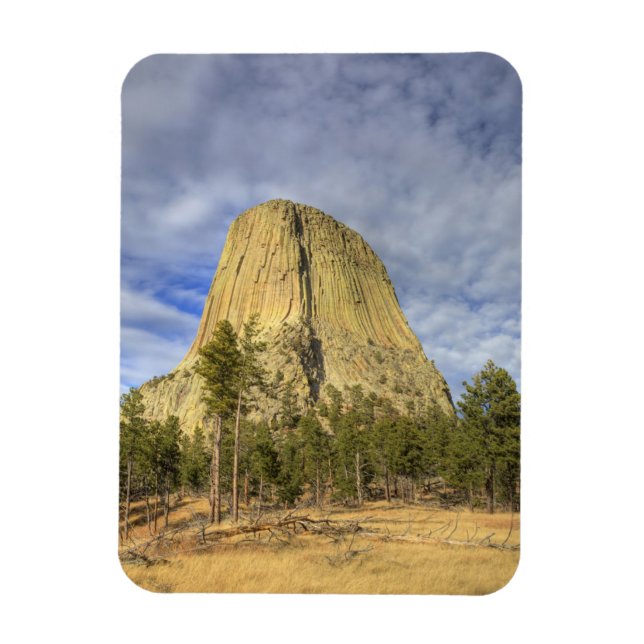 Devils Tower National Monument Magnet (Vertical)