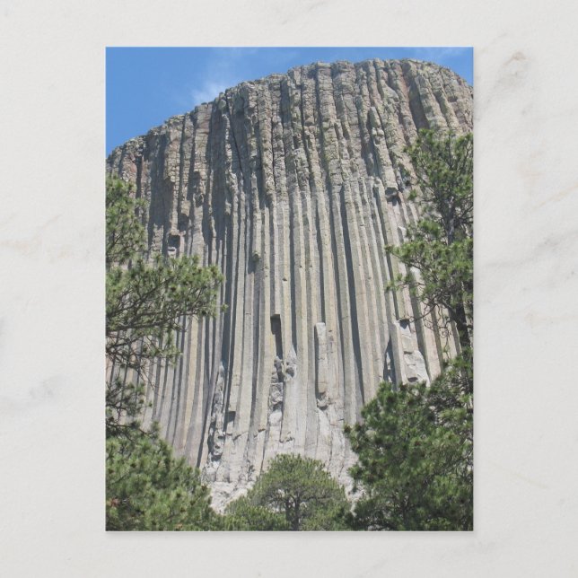 Devils Tower Postcard (Front)