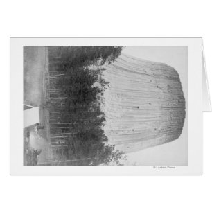 Devil's Tower with 4 People in the Foreground