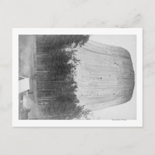 Devil's Tower with 4 People in the Foreground Postcard