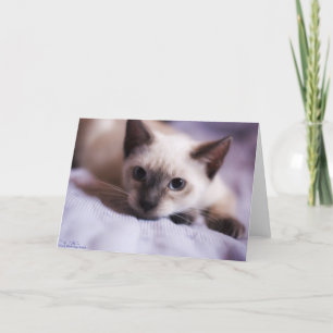 Deviously Cute Card