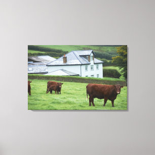 Devon, England Canvas Print