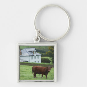 Devon, England Keychain