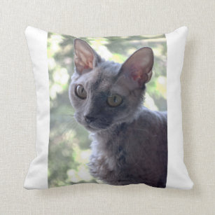 Pixie Pillows Cushions Zazzle Ca