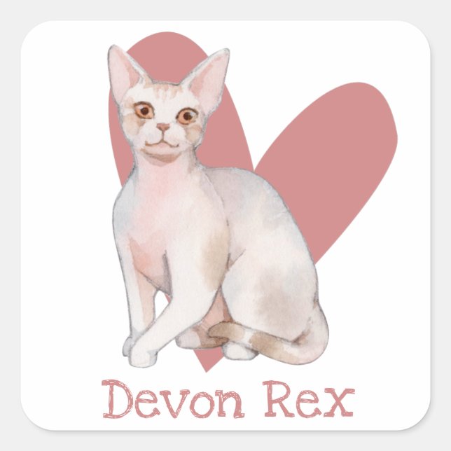 Devon Rex Cat Watercolor Kitty Pink Heart Square Sticker (Front)