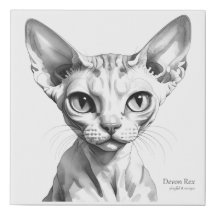 Devon Rex - Watercolour Art