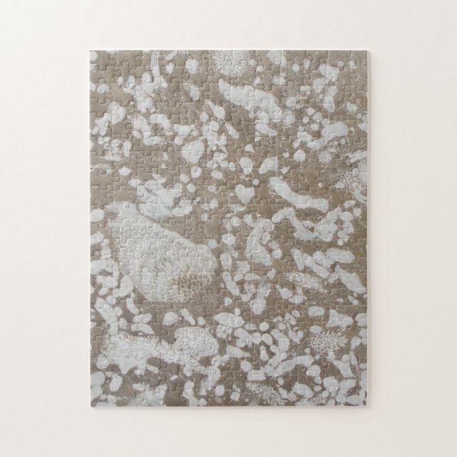 Devonian Fossil Brown & White Puzzle (Vertical)