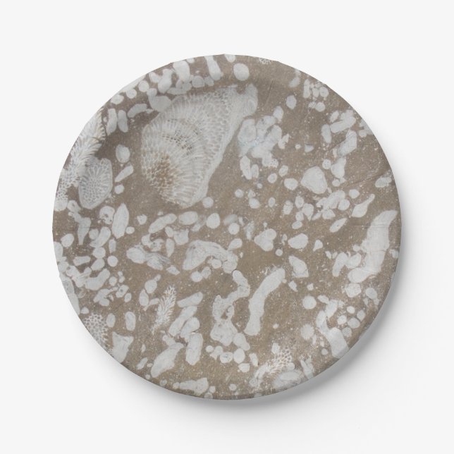 Devonian Fossil Paper Plates (Front)