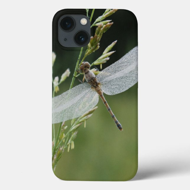 Dew covered Darner Dragonfly Case-Mate iPhone Case (Back)