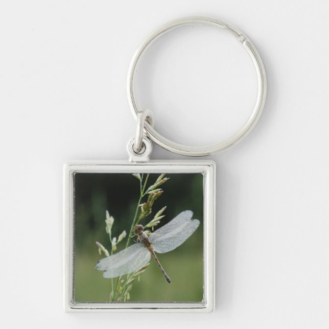 Dew covered Darner Dragonfly Keychain (Front)