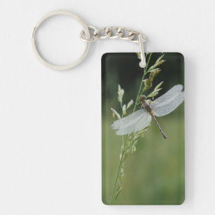 Dew covered Darner Dragonfly Keychain