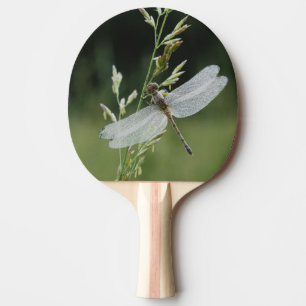 Dew covered Darner Dragonfly Ping Pong Paddle