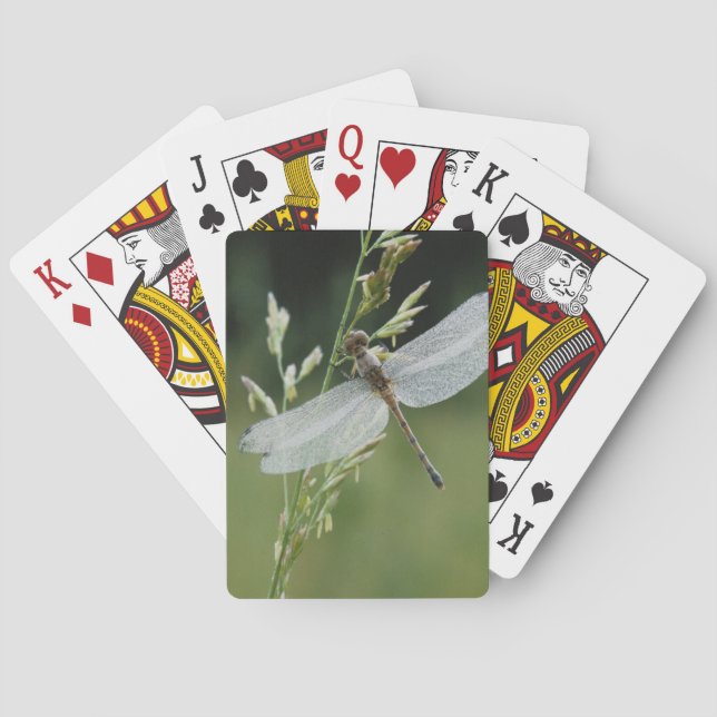 Dew covered Darner Dragonfly Playing Cards (Back)