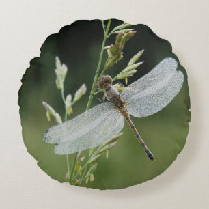 Dew covered Darner Dragonfly Round Pillow