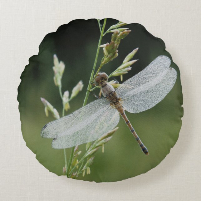 Dew covered Darner Dragonfly Round Pillow (Front)
