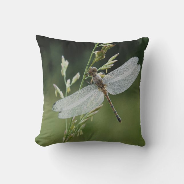 Dew covered Darner Dragonfly Throw Pillow (Front)