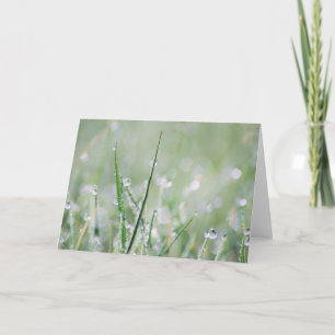 Dew-covered Grass Blank Greeting Card
